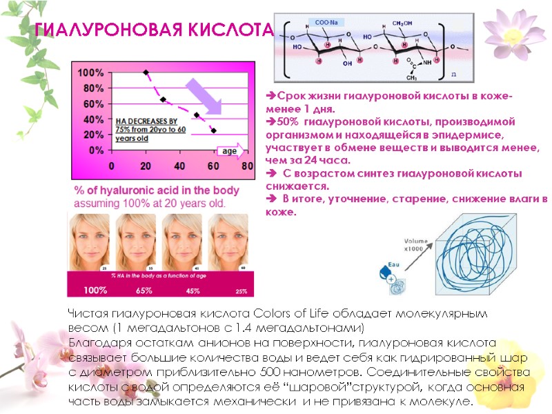 ГИАЛУРОНОВАЯ КИСЛОТА Срок жизни гиалуроновой кислоты в коже- менее 1 дня. 50%  гиалуроновой